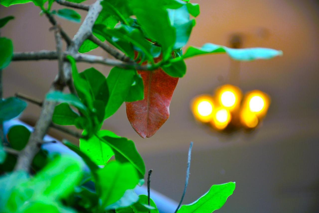 Yellow Homestay - Modern 2Bhk Ac Stay Jabalpur Exteriör bild